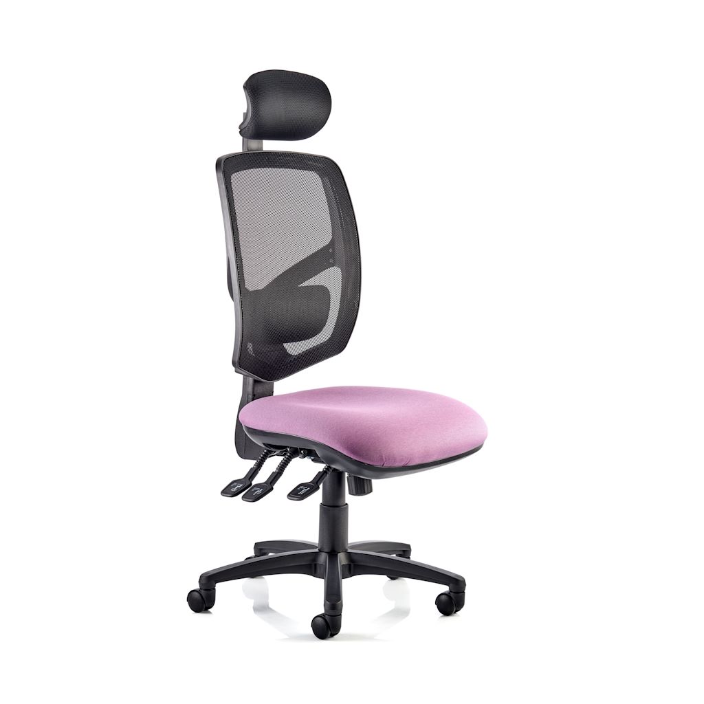 HADDON Mesh Back Task Chair with Head Rest